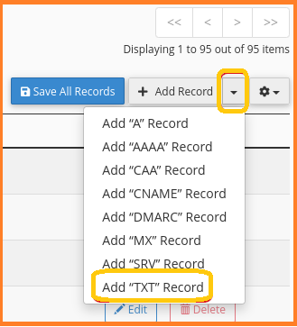 TXT record